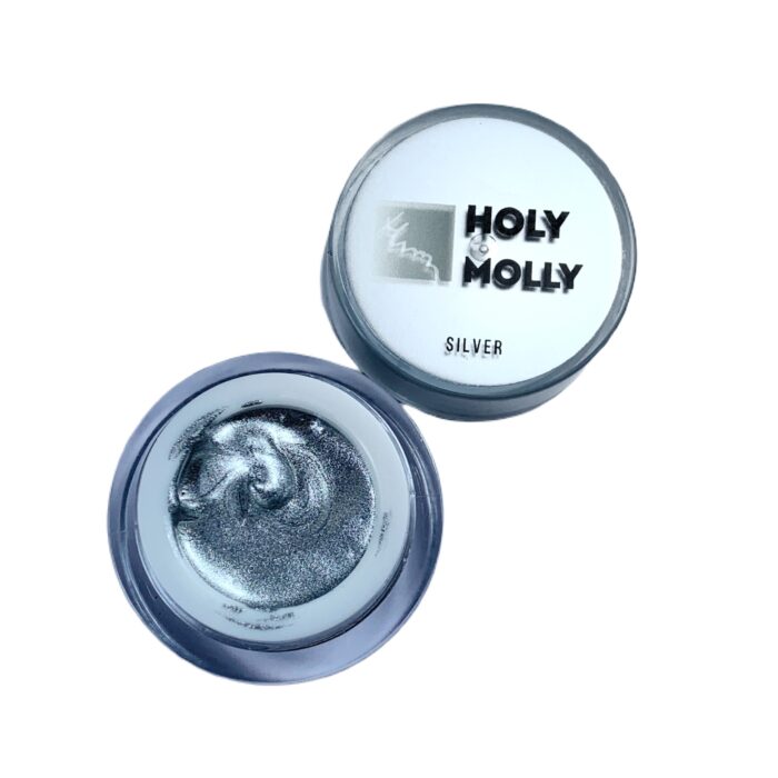 Gel Paint Holy Molly Silver 5ml